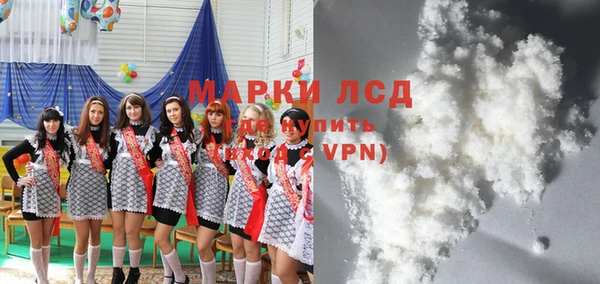 молекула духа Козловка
