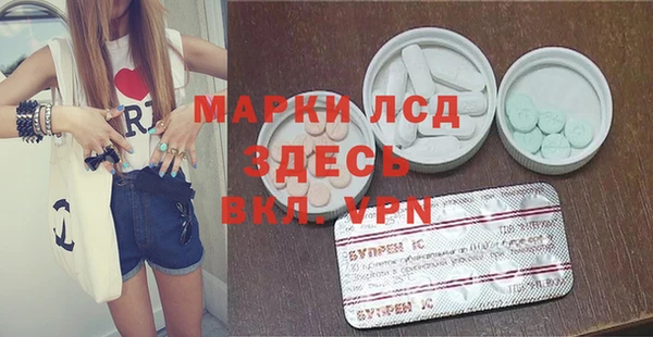 молекула духа Козловка