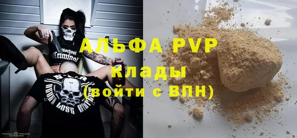 PSILOCYBIN Кукмор